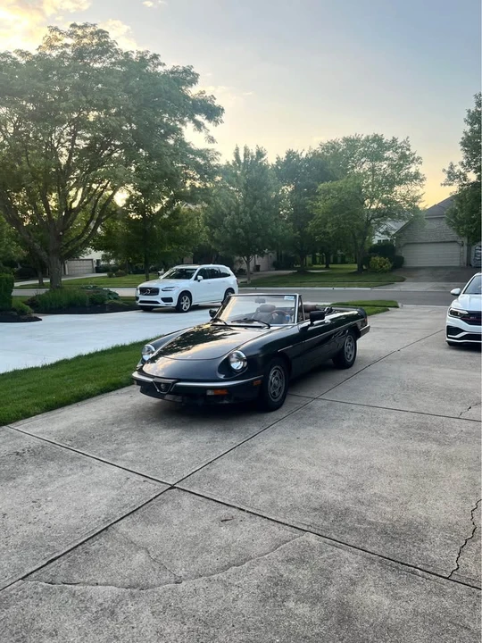 1983 Alfa Romeo Series 3 - Image 4 of 6