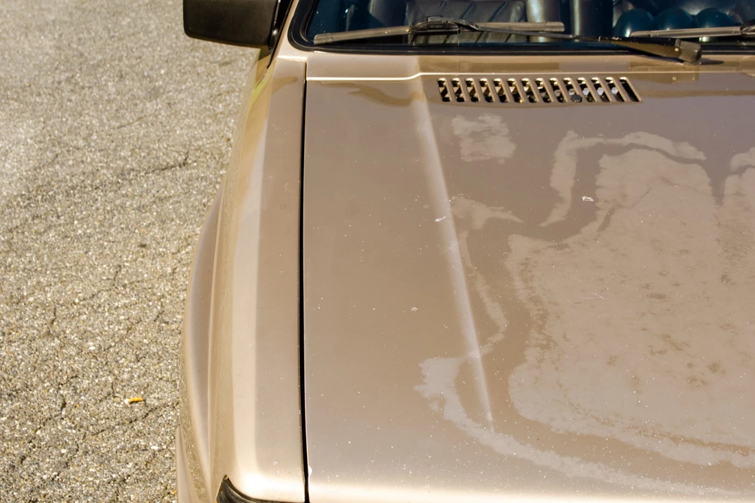 1983 Audi Quattro - Image 13 of 31