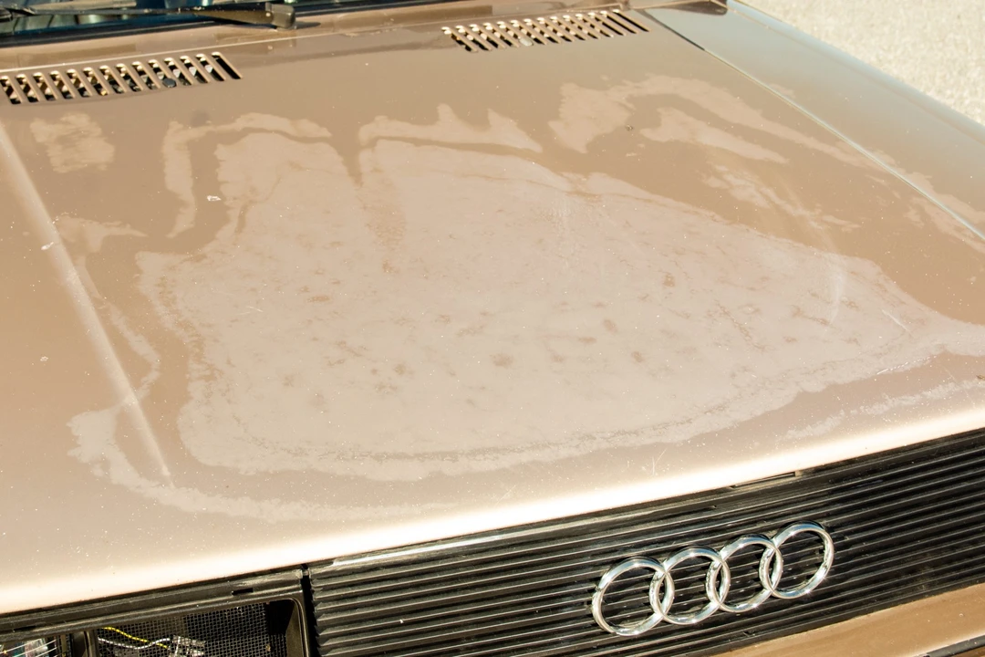 1983 Audi Quattro - Image 14 of 31