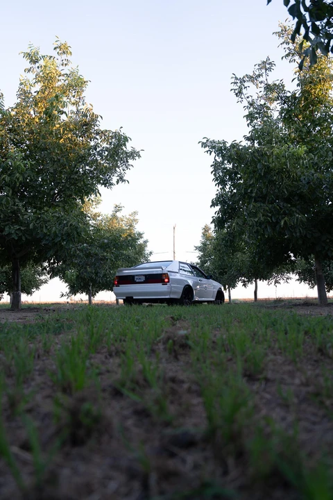 1983 Audi Quattro - Image 24 of 31
