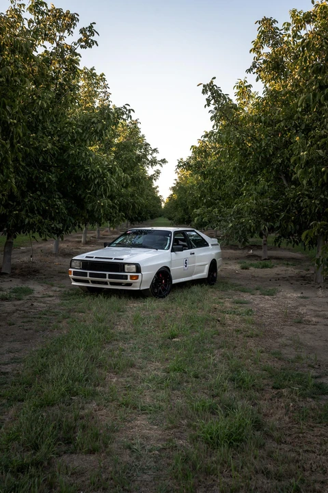 1983 Audi Quattro - Image 19 of 31