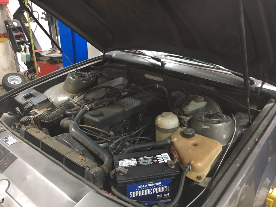 1983 Bitter - Image 22 of 25