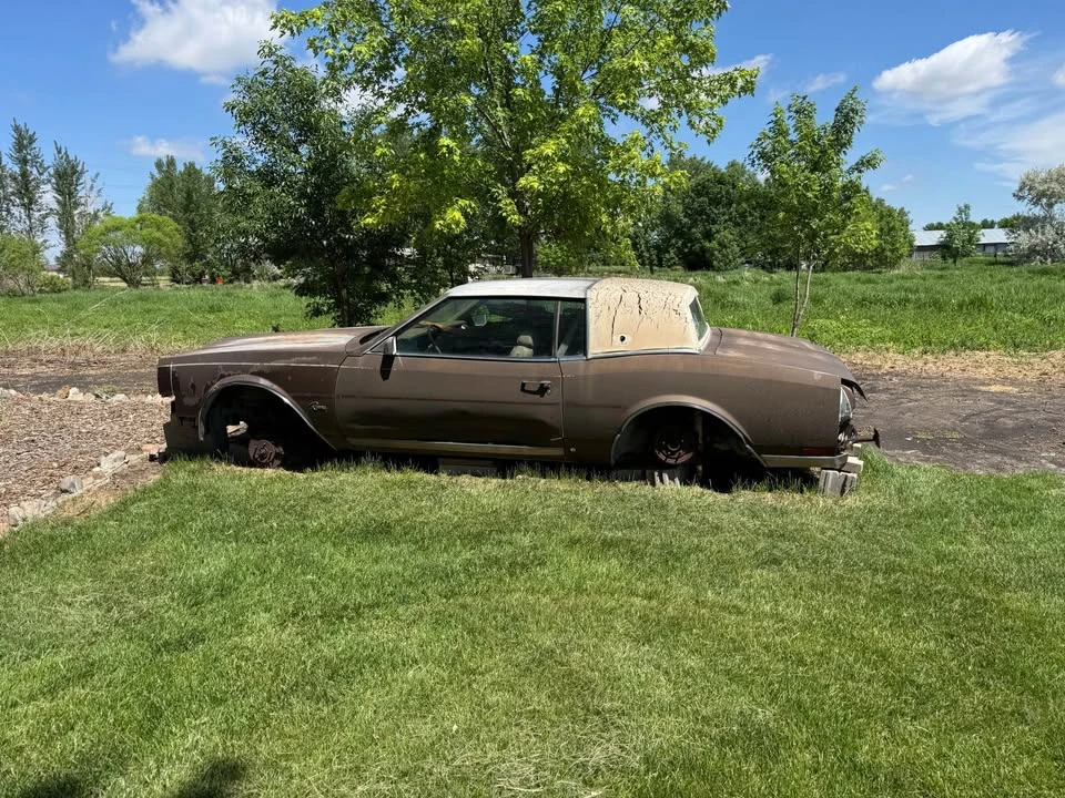 1983 Buick Riviera 4th-7th Gen - Image 7 of 8