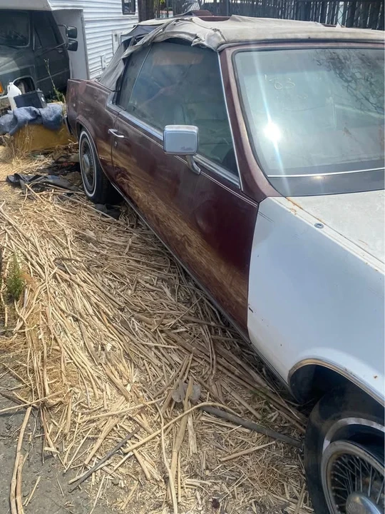 1983 Cadillac Eldorado 10th Gen - Image 3 of 5