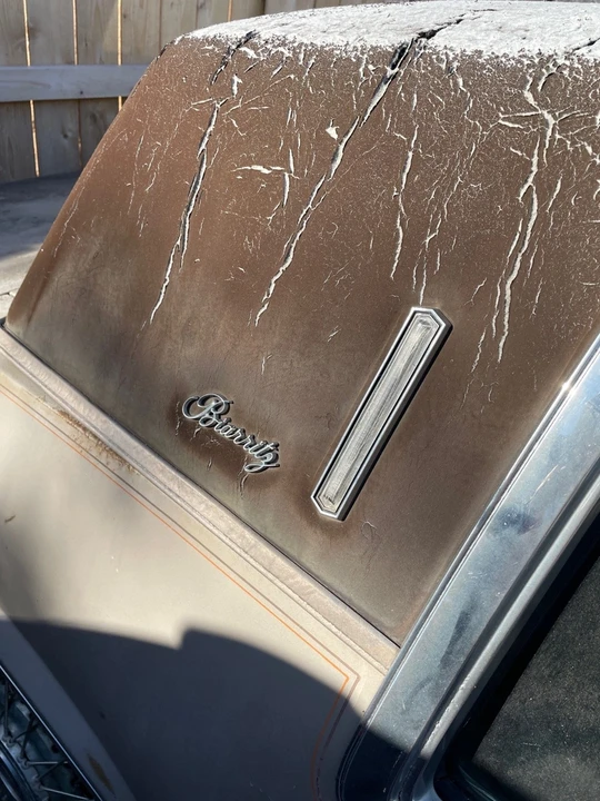 1983 Cadillac Eldorado 9th Gen - Image 20 of 20