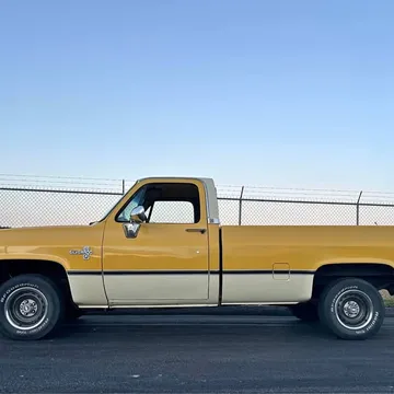 1983 Chevrolet 1500 Regular Cab