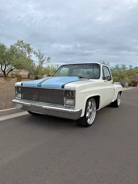 1983 Chevrolet C10 Single Cab / Side Step