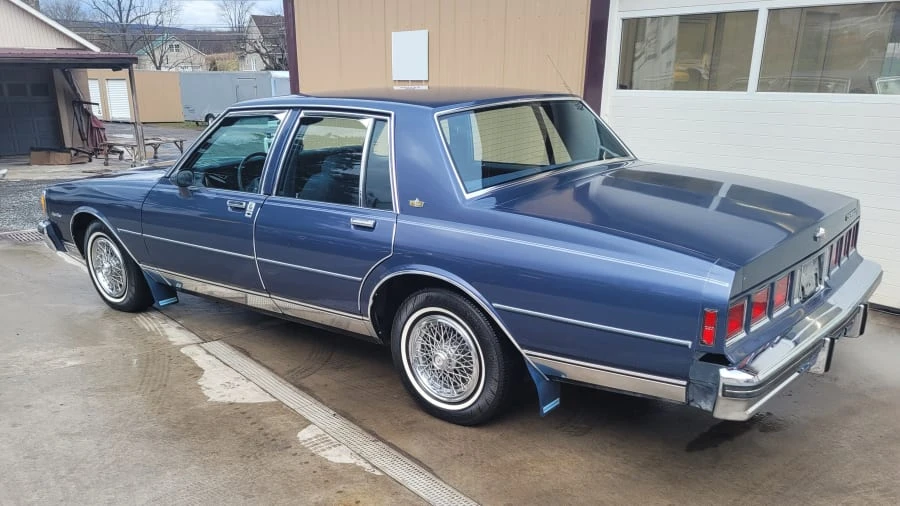 1983 Chevrolet Caprice - Image 3 of 10