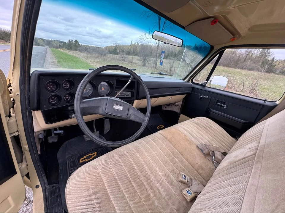 1983 Chevrolet Silverado - Image 9 of 12