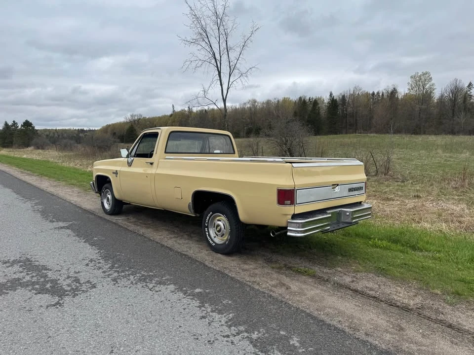 1983 Chevrolet Silverado - Image 6 of 12