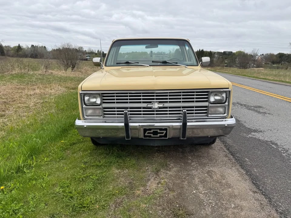 1983 Chevrolet Silverado - Image 3 of 12