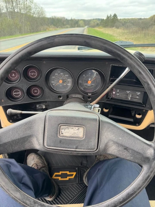 1983 Chevrolet Silverado - Image 10 of 12