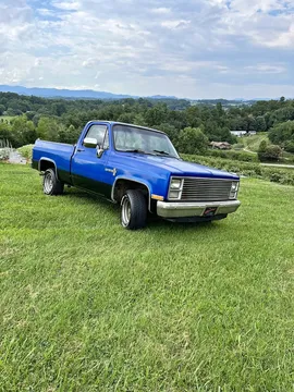 1983 Chevrolet C10 Custom Deluxe V8