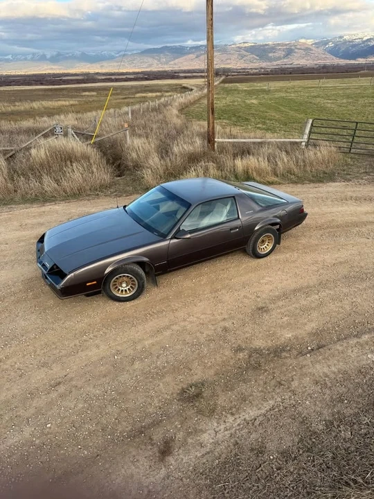 1983 Chevrolet Camaro 3rd Gen - Image 7 of 14