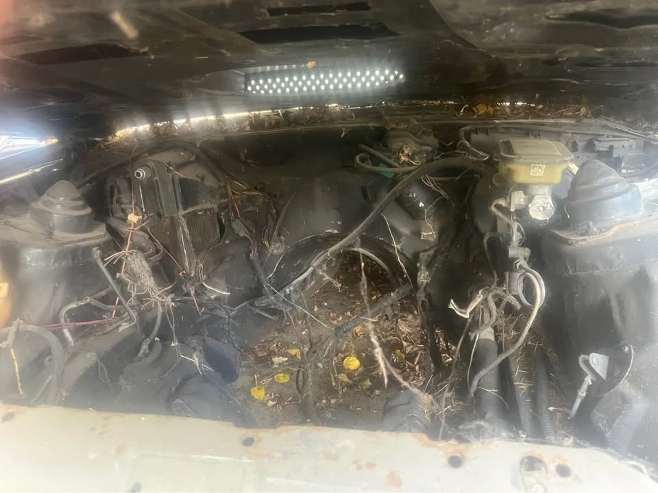1983 Chevrolet Camaro 3rd Gen - Image 11 of 12