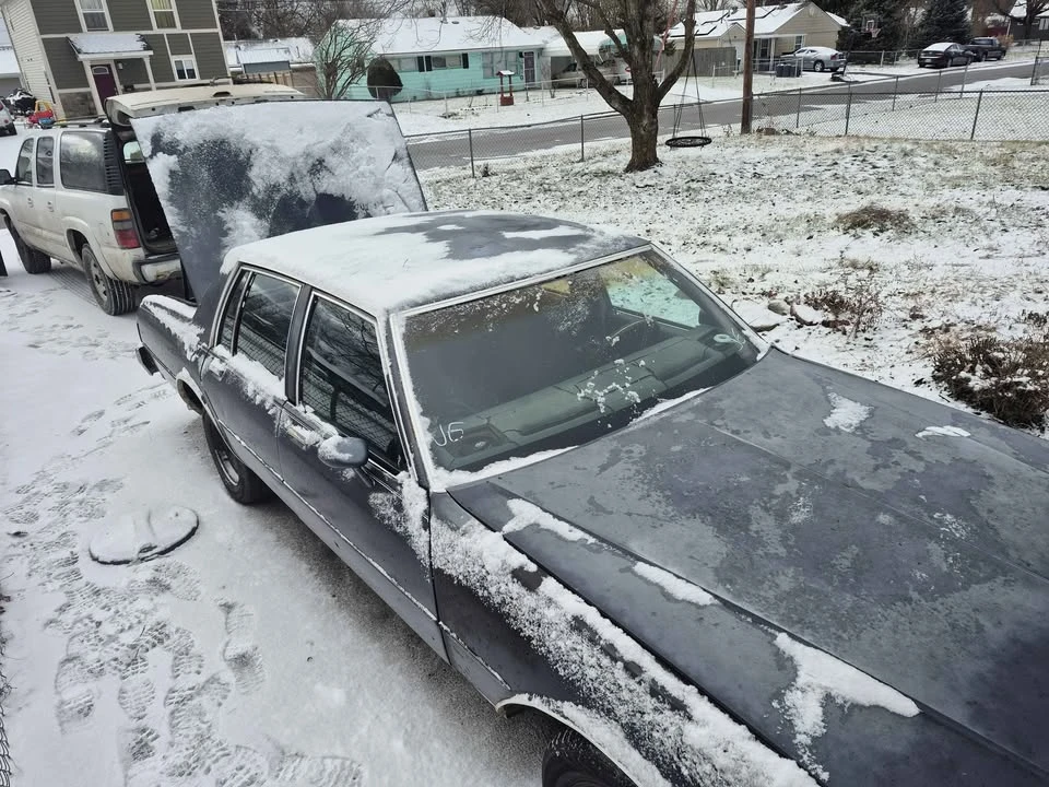1983 Chevrolet Caprice - Image 17 of 19