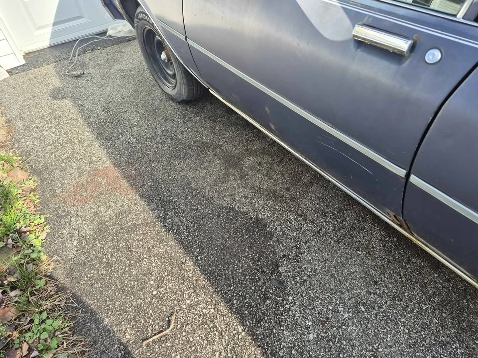 1983 Chevrolet Caprice - Image 3 of 19