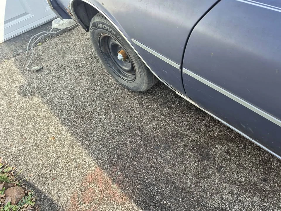 1983 Chevrolet Caprice - Image 5 of 19