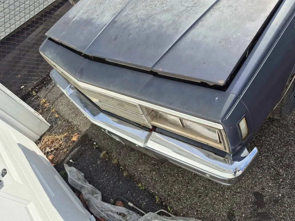 1983 Chevrolet Caprice - Image 2 of 19