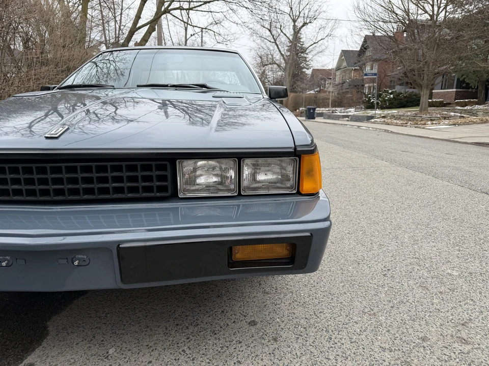 1983 Nissan S110 Silvia - Image 21 of 31