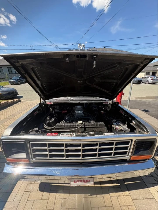 1983 Dodge D Series - Image 7 of 14