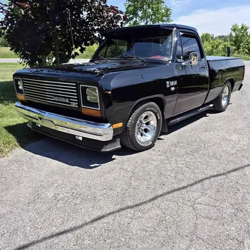 1983 Dodge D-150
