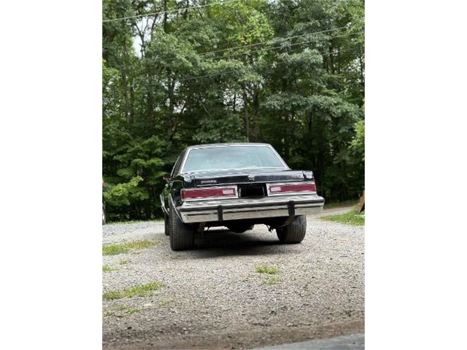 1983 Dodge Diplomat - Image 2 of 19