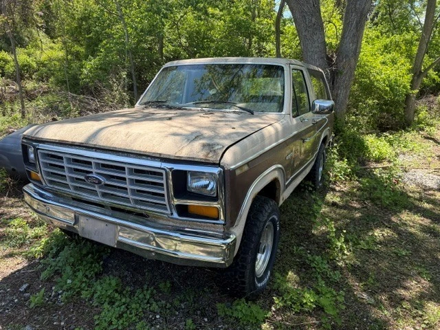 1983 Ford Bronco 3rd Gen - Image 3 of 19