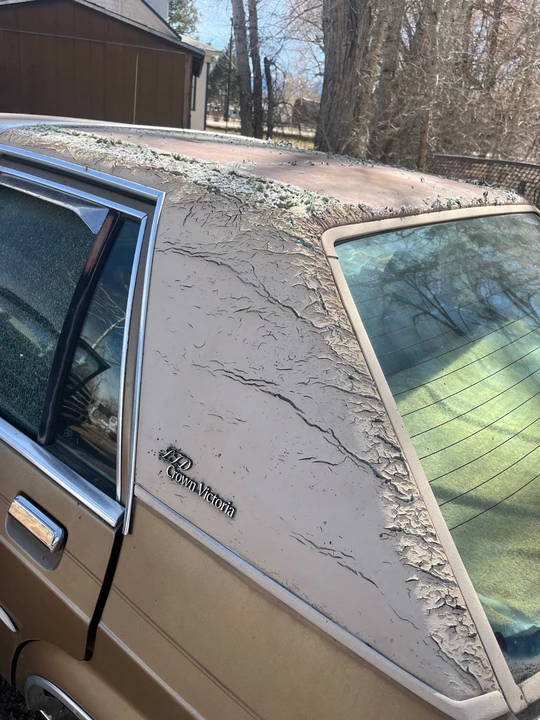 1983 Ford LTD - Image 18 of 21