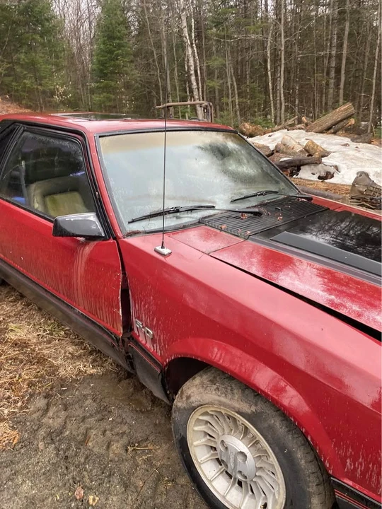 1983 Ford Mustang 3rd Gen - Image 5 of 5