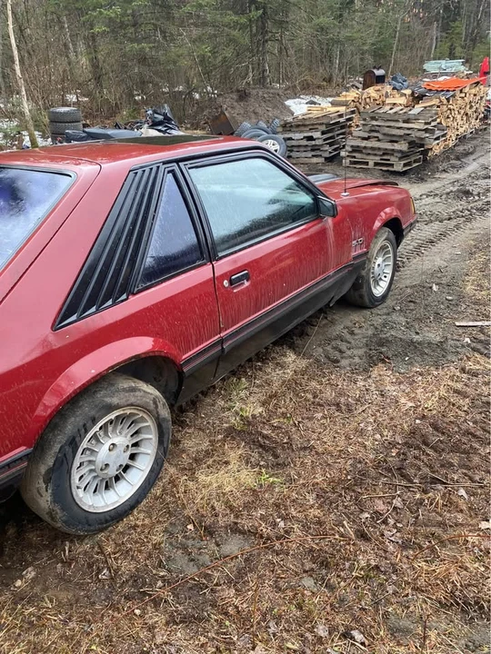 1983 Ford Mustang 3rd Gen - Image 3 of 5