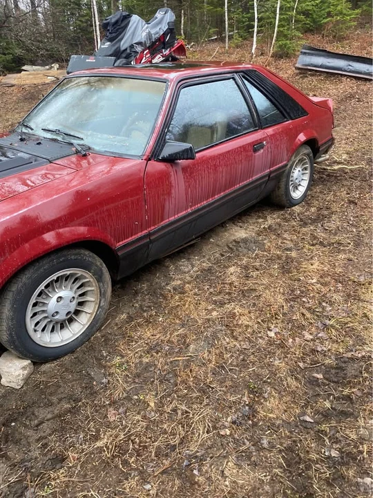 1983 Ford Mustang 3rd Gen - Image 2 of 5