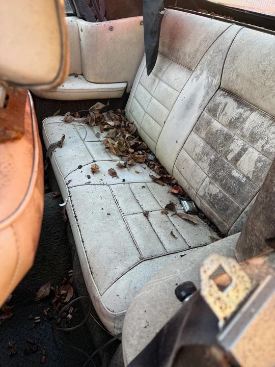 1983 Ford Mustang 3rd Gen - Image 14 of 16