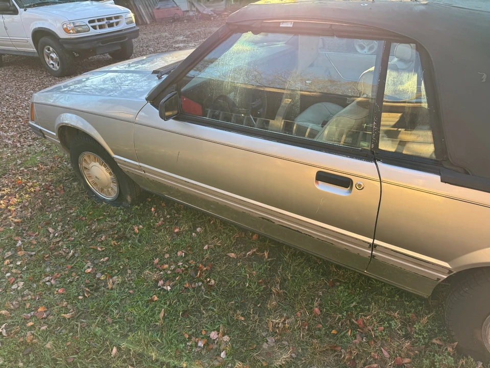 1983 Ford Mustang 3rd Gen - Image 5 of 16