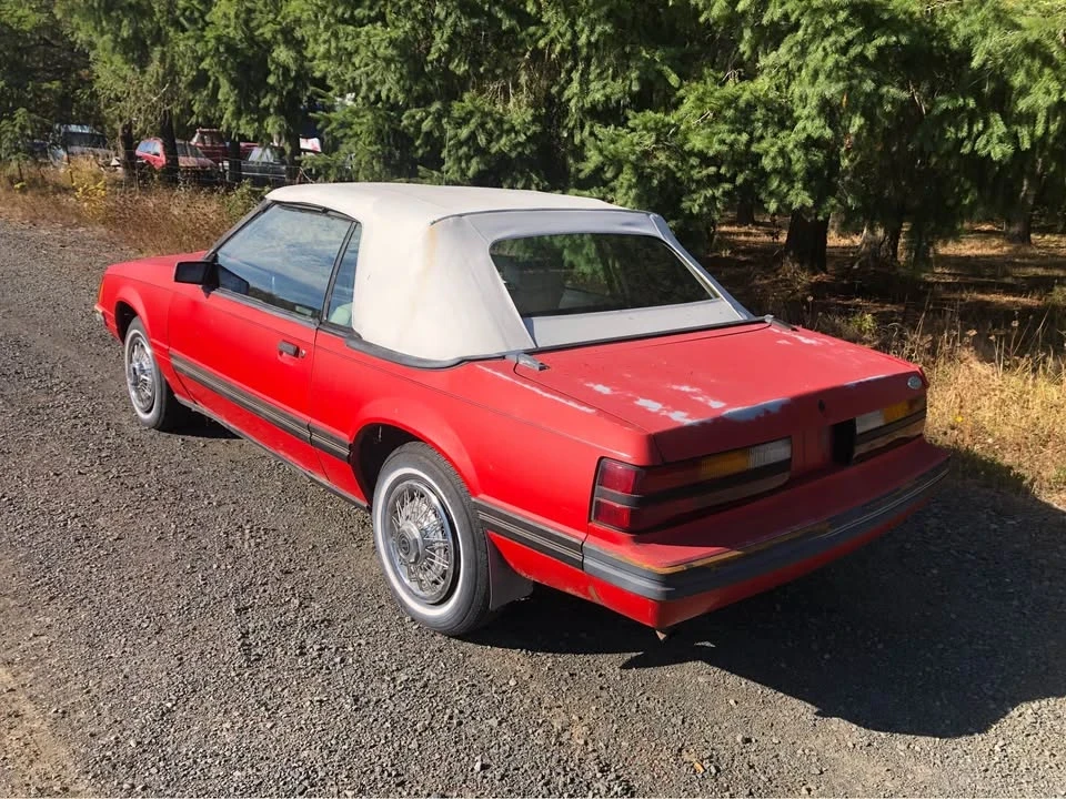 1983 Ford Mustang 3rd Gen - Image 14 of 16