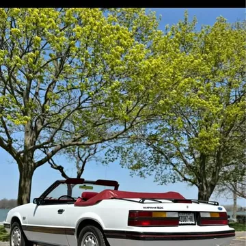 1983 Ford Mustang Convertible