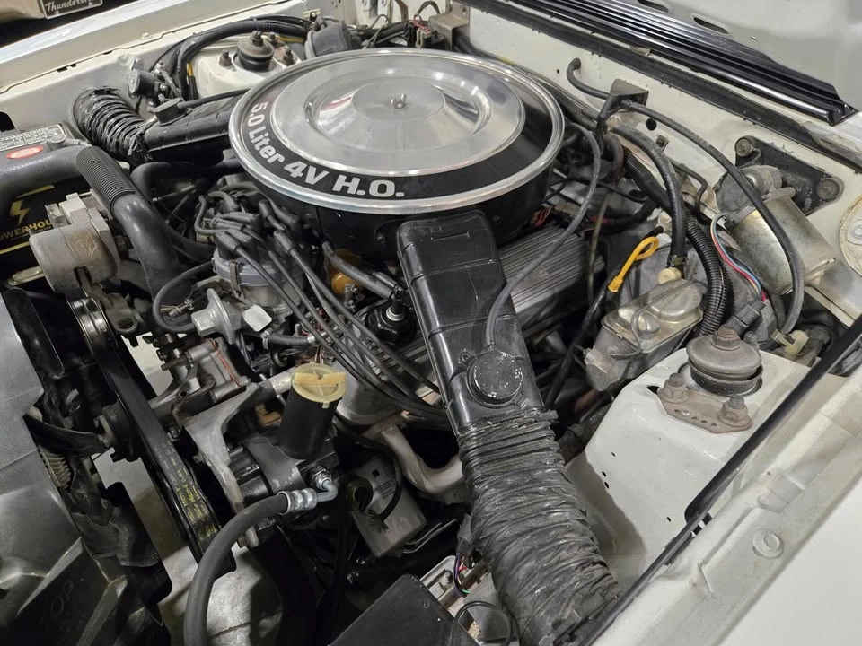 1983 Ford Mustang 3rd Gen - Image 19 of 20