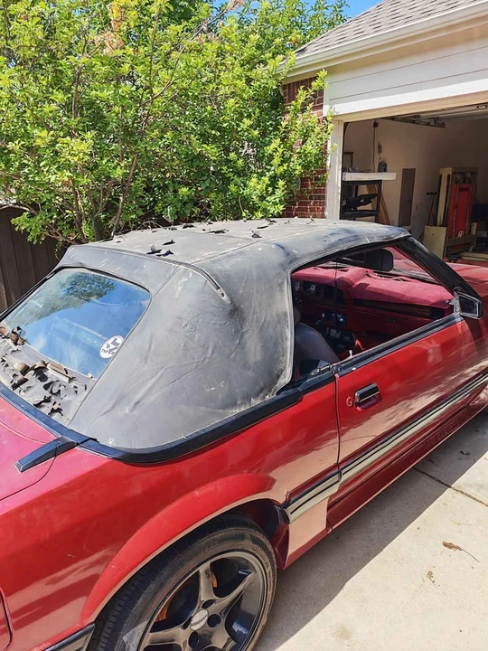1983 Ford Mustang GT 3rd Gen - Image 11 of 17