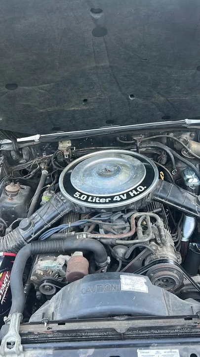 1983 Ford Mustang GT 3rd Gen - Image 10 of 11