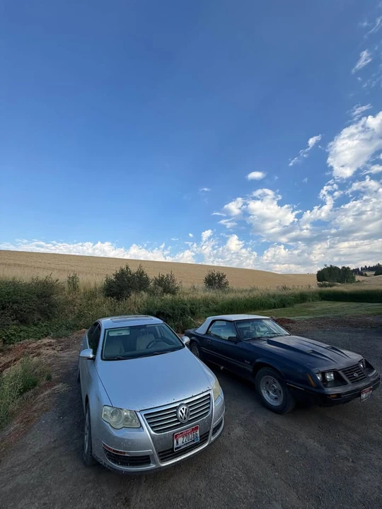 1983 Ford Mustang 3rd Gen - Image 6 of 6