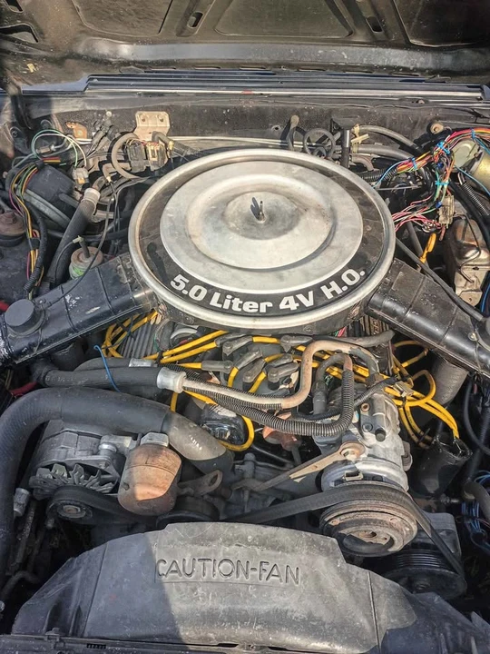 1983 Ford Mustang 3rd Gen - Image 2 of 2