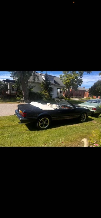1983 Ford Mustang 3rd Gen - Image 11 of 13