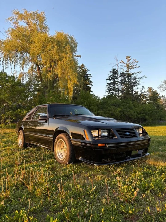 1983 Ford Mustang 3rd Gen - Image 14 of 16
