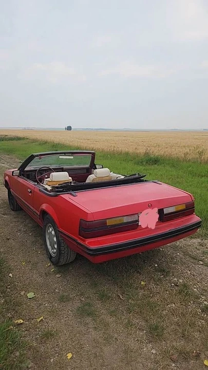 1983 Ford Mustang 3rd Gen - Image 3 of 7