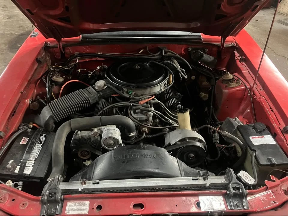 1983 Ford Mustang 3rd Gen - Image 14 of 14