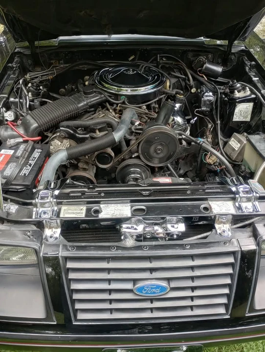 1983 Ford Mustang 3rd Gen - Image 11 of 11