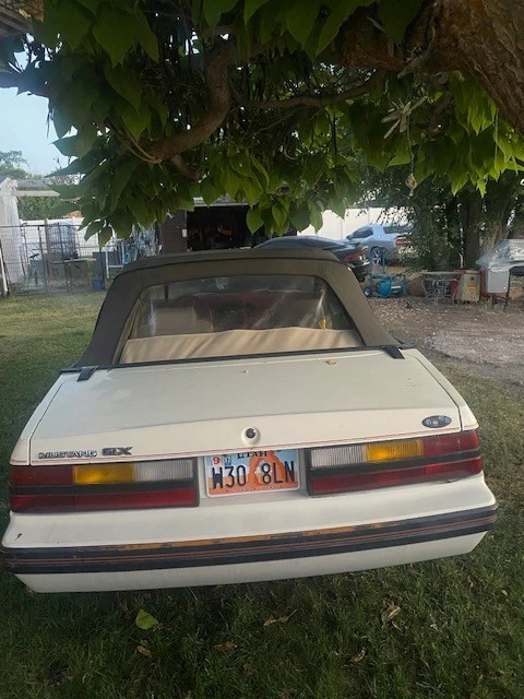 1983 Ford Mustang 3rd Gen - Image 4 of 4