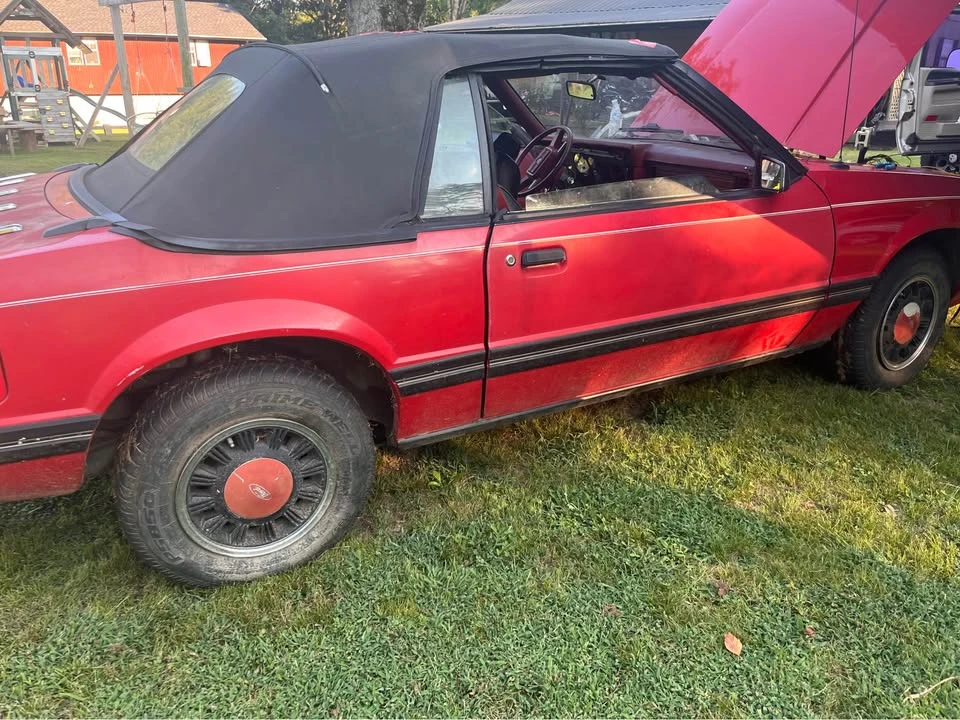 1983 Ford Mustang 3rd Gen - Image 11 of 11