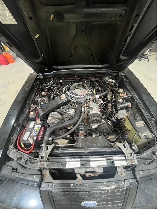 1983 Ford Mustang 3rd Gen - Image 4 of 8