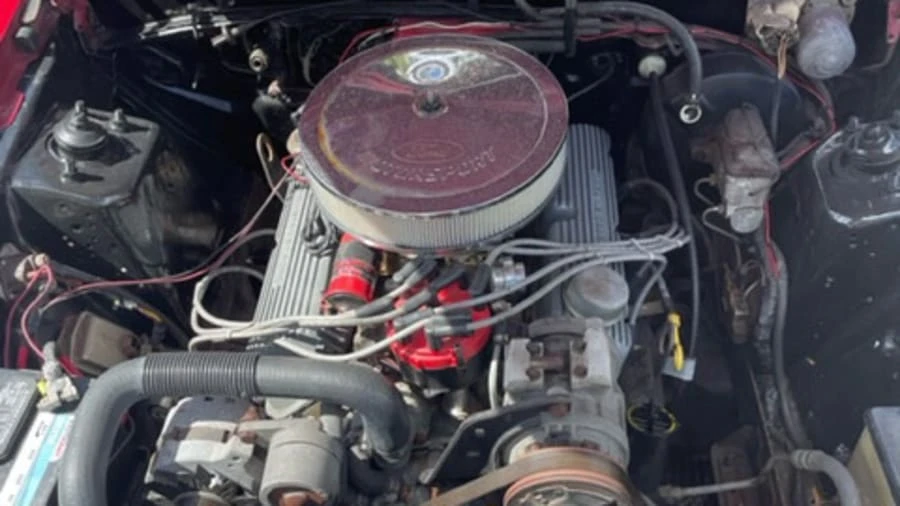 1983 Ford Thunderbird 9th Gen - Image 7 of 12